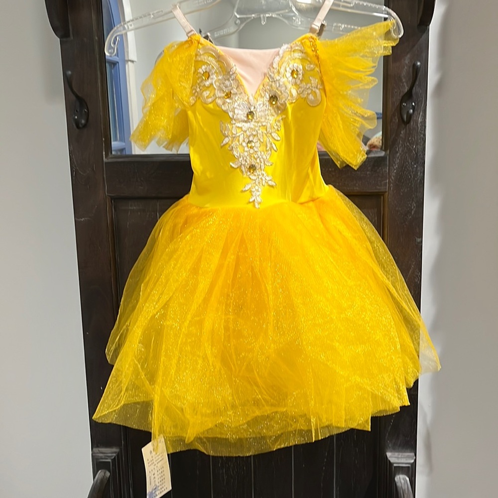 NWT Yellow Princess Embroidered Tulle Tutu One Piece